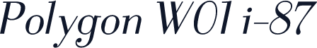 Polygon W01 i-87