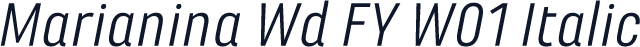 Marianina Wd FY W01 Italic