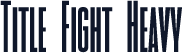 Title Fight Heavy