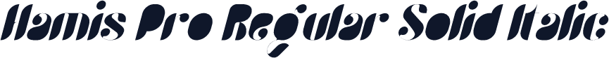 Hamis Pro Regular Solid Italic