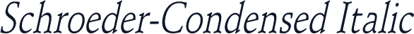 Schroeder-Condensed Italic