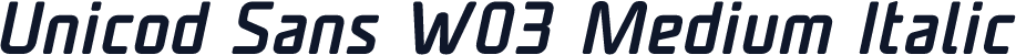 Unicod Sans W03 Medium Italic