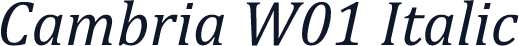 Cambria W01 Italic