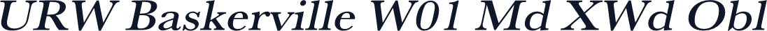 URW Baskerville W01 Md XWd Obl