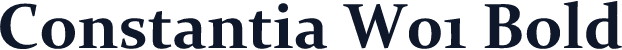 Constantia W01 Bold