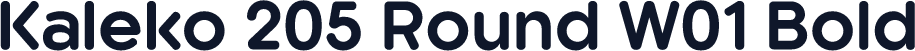 Kaleko 205 Round W01 Bold
