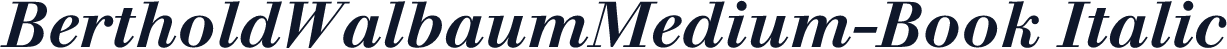 BertholdWalbaumMedium-Book Italic