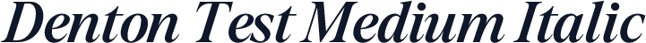 Denton Test Medium Italic