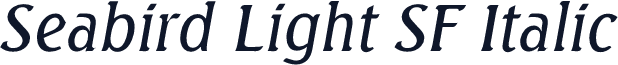 Seabird Light SF Italic
