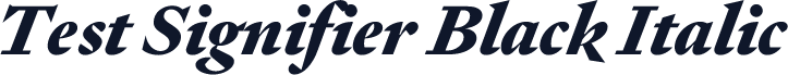 Test Signifier Black Italic