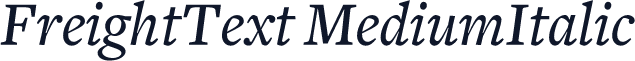 FreightText MediumItalic