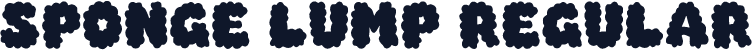 Sponge Lump Regular