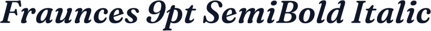 Fraunces 9pt SemiBold Italic