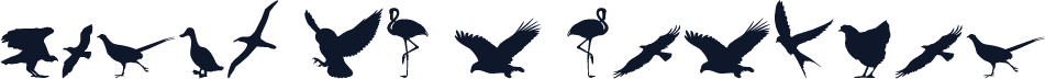 Birds of a Feather