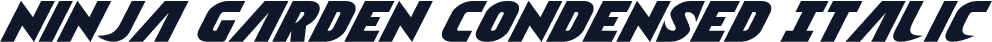 Ninja Garden Condensed Italic