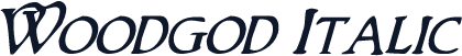 Woodgod Italic