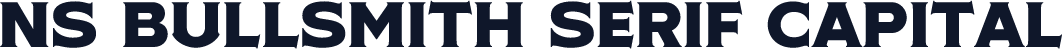NS Bullsmith Serif Capital