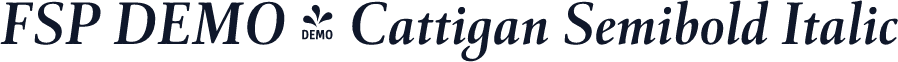 FSP DEMO - Cattigan Semibold Italic