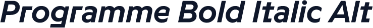 Programme Bold Italic Alt