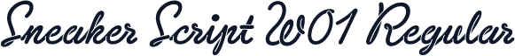 Sneaker Script W01 Regular