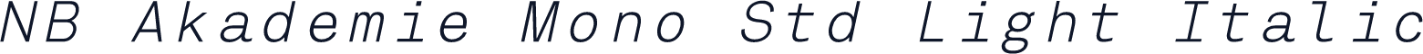 NB Akademie Mono Std Light Italic