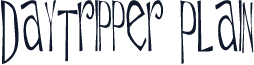Daytripper Plain