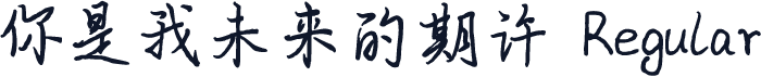 你是我未来的期许 Regular