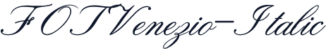 FOTVenezio-Italic