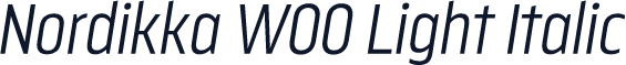 Nordikka W00 Light Italic