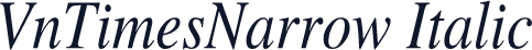 VnTimesNarrow Italic