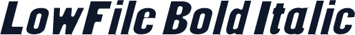 LowFile Bold Italic