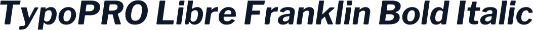 TypoPRO Libre Franklin Bold Italic