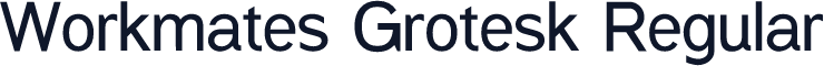 Workmates Grotesk Regular