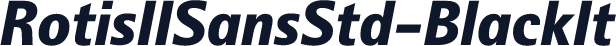 RotisIISansStd-BlackIt