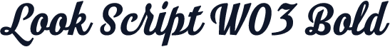 Look Script W03 Bold
