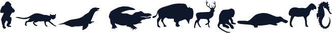 MCS Animals