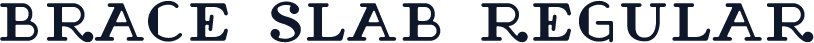 Brace Slab Regular