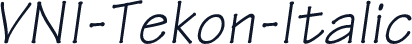 VNI-Tekon-Italic