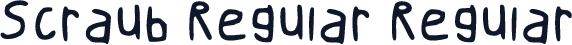 Scraub Regular Regular