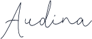 Audina