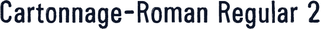 Cartonnage-Roman Regular 2