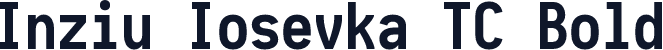 Inziu Iosevka TC Bold