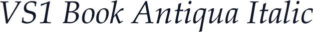 VS1 Book Antiqua Italic