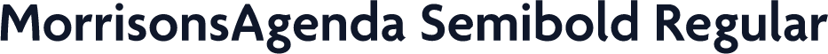 MorrisonsAgenda Semibold Regular