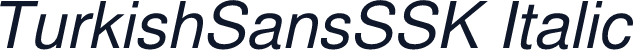 TurkishSansSSK Italic
