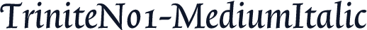 TriniteNo1-MediumItalic