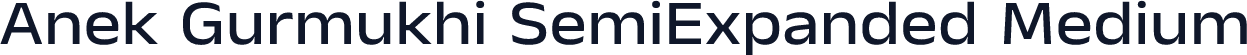 Anek Gurmukhi SemiExpanded Medium