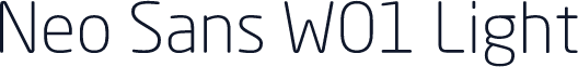 Neo Sans W01 Light