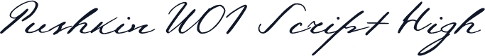 Pushkin W01 Script High