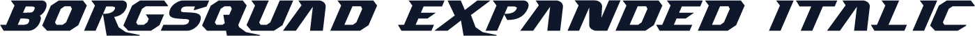 Borgsquad Expanded Italic